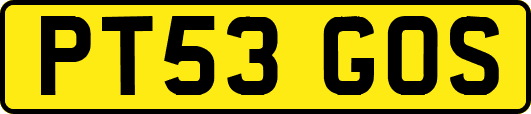 PT53GOS