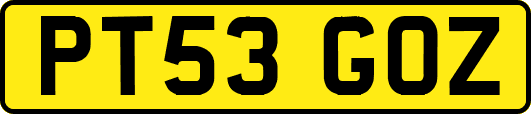 PT53GOZ