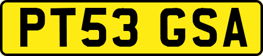 PT53GSA