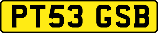 PT53GSB