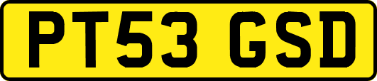 PT53GSD