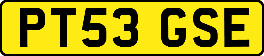 PT53GSE