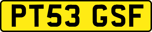 PT53GSF