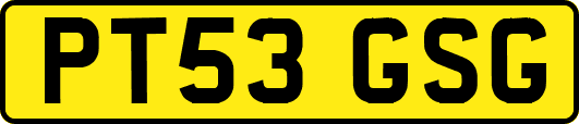 PT53GSG