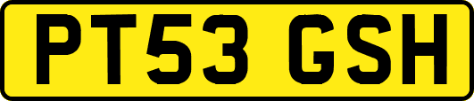 PT53GSH