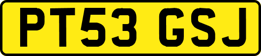 PT53GSJ