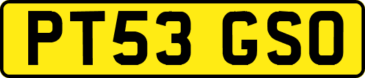 PT53GSO