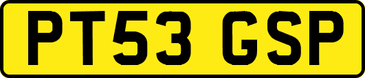 PT53GSP