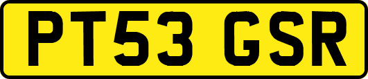 PT53GSR