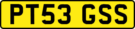 PT53GSS