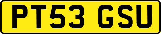 PT53GSU