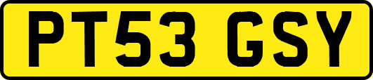 PT53GSY