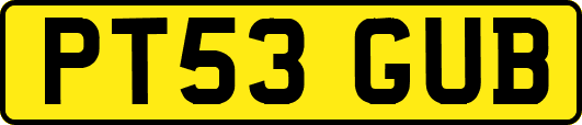 PT53GUB