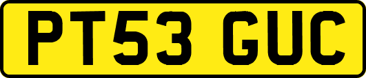 PT53GUC