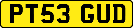 PT53GUD