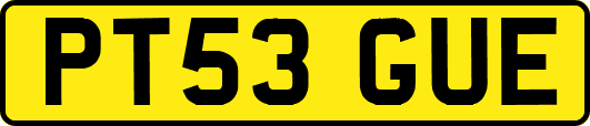 PT53GUE
