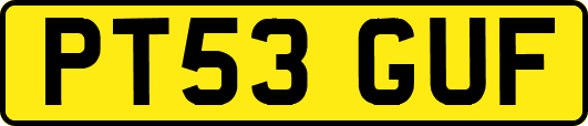 PT53GUF