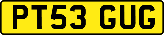 PT53GUG