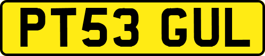 PT53GUL