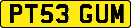 PT53GUM