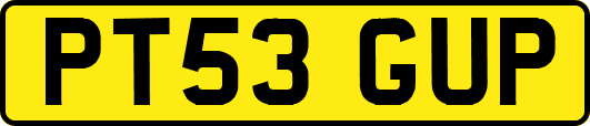 PT53GUP