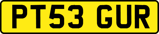 PT53GUR
