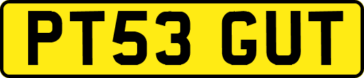 PT53GUT