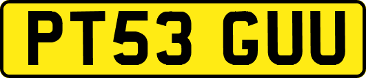 PT53GUU