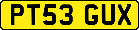 PT53GUX