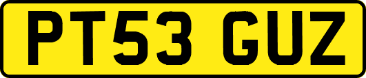 PT53GUZ