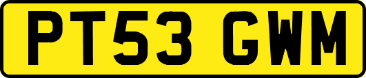 PT53GWM