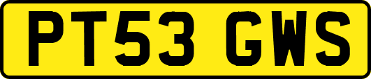 PT53GWS
