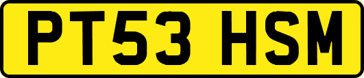 PT53HSM