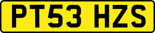 PT53HZS