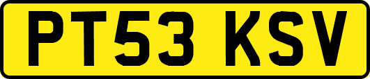 PT53KSV