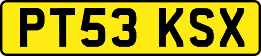 PT53KSX