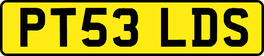 PT53LDS