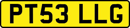 PT53LLG