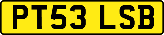 PT53LSB