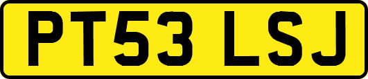 PT53LSJ