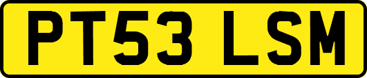 PT53LSM