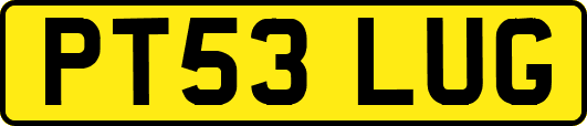 PT53LUG