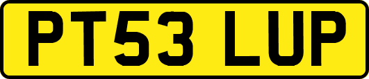 PT53LUP