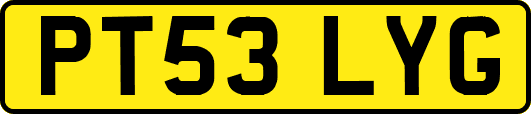 PT53LYG