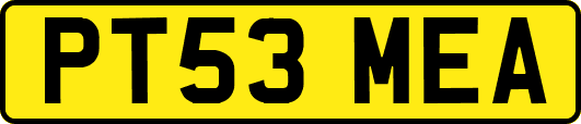 PT53MEA