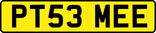 PT53MEE