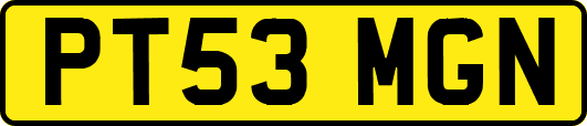 PT53MGN