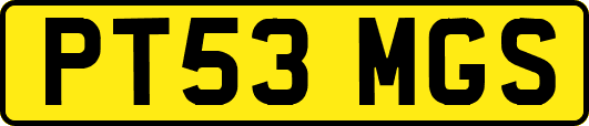 PT53MGS