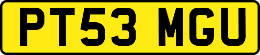 PT53MGU