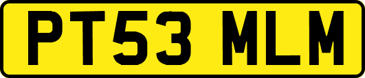 PT53MLM